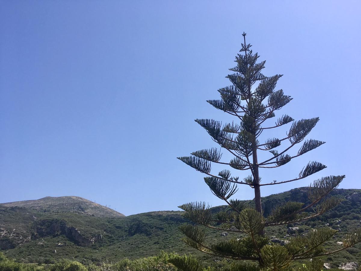 Alegria Kefalonia Katelios Buitenkant foto